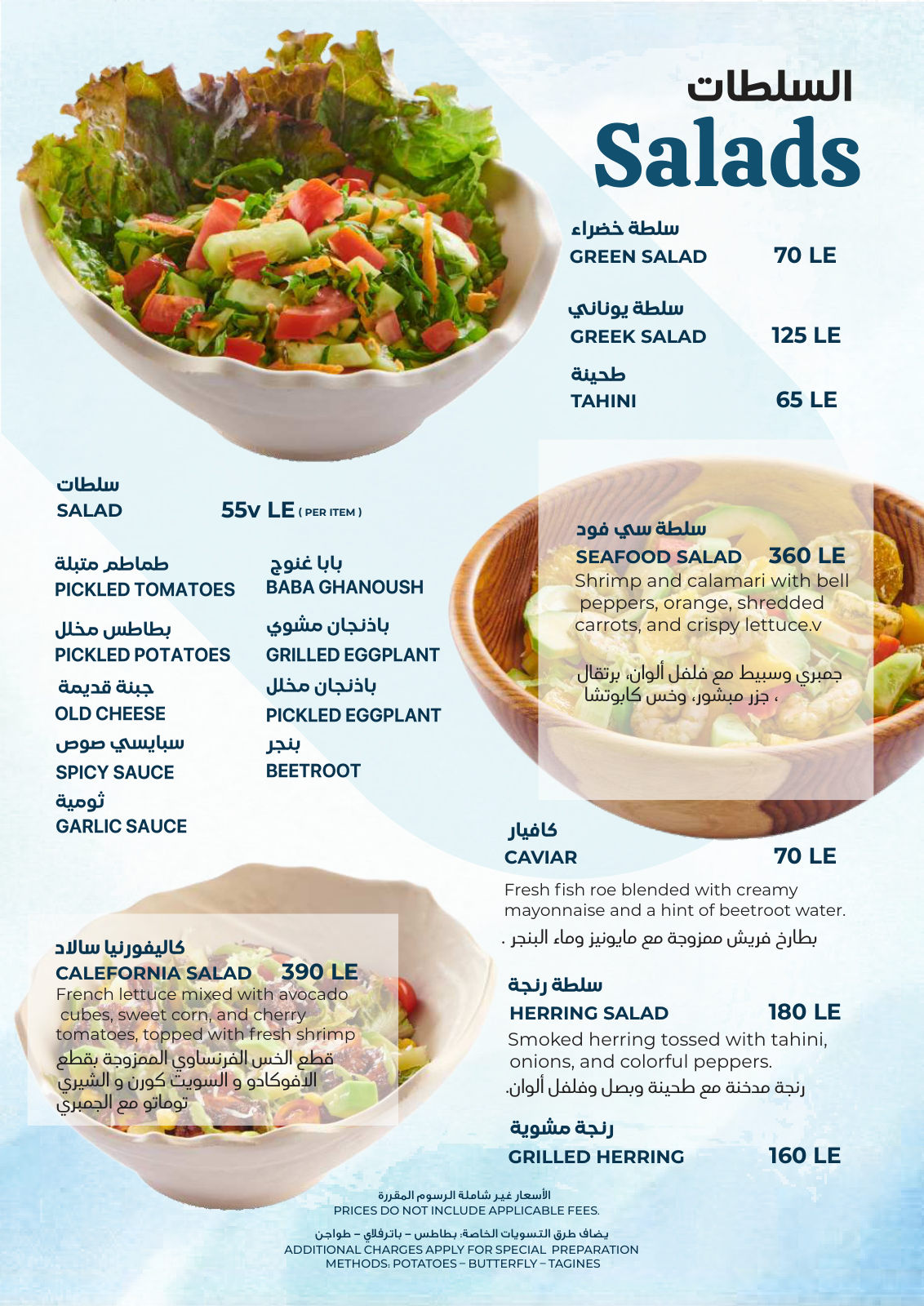 Seagull Restaurant NewCairo menu photo 13
