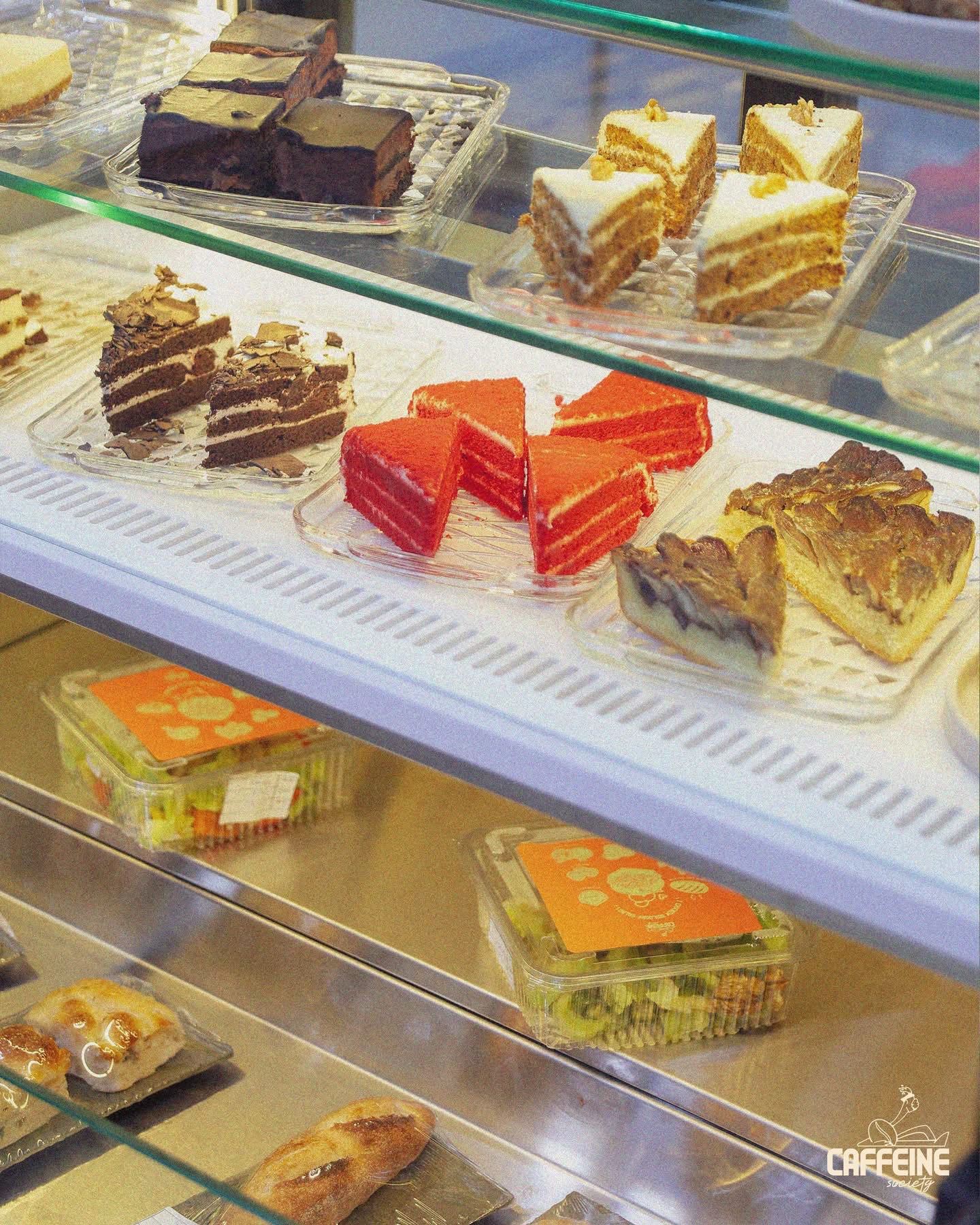caffeine society photo 6